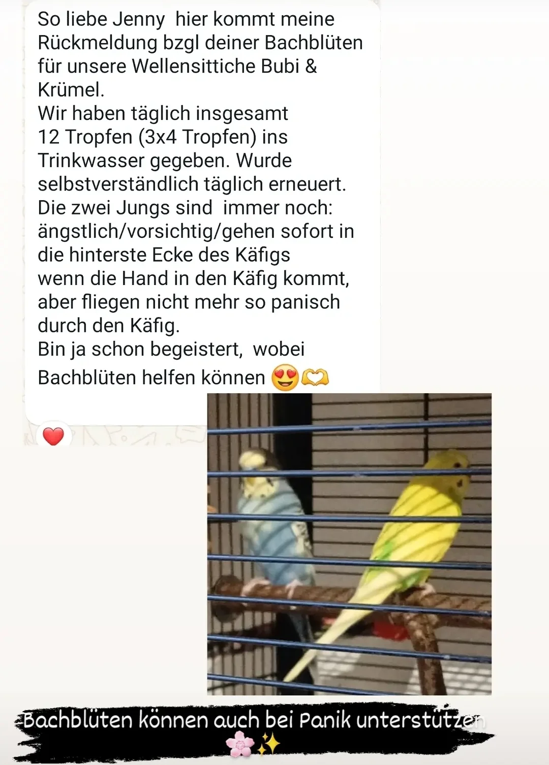 Rezensionen von Jennys-BlütenGleichklang