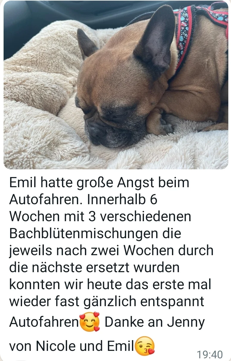 Rezensionen von Jennys-BlütenGleichklang