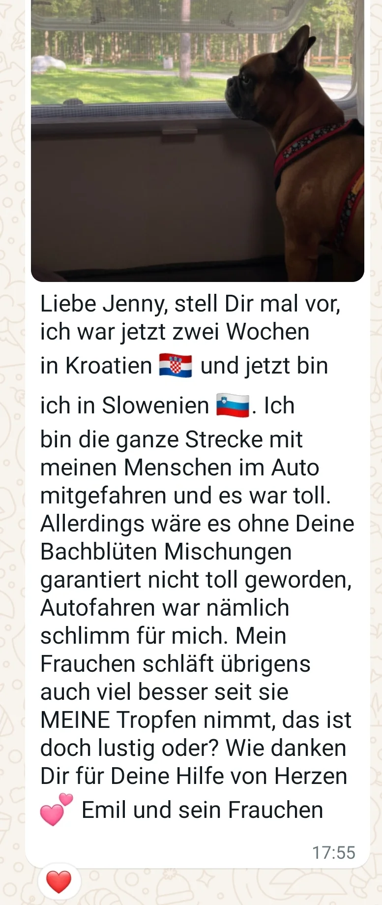 Rezensionen von Jennys-BlütenGleichklang