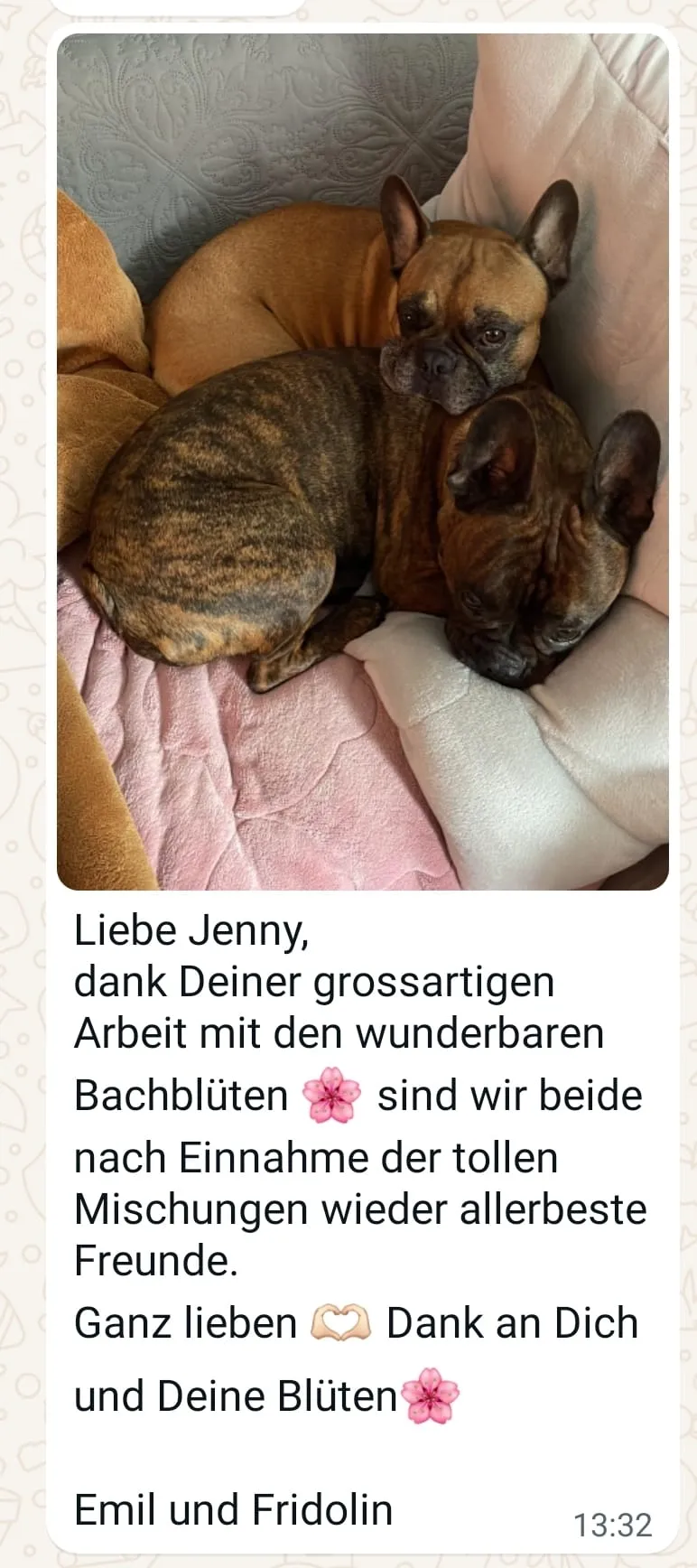 Rezensionen von Jennys-BlütenGleichklang