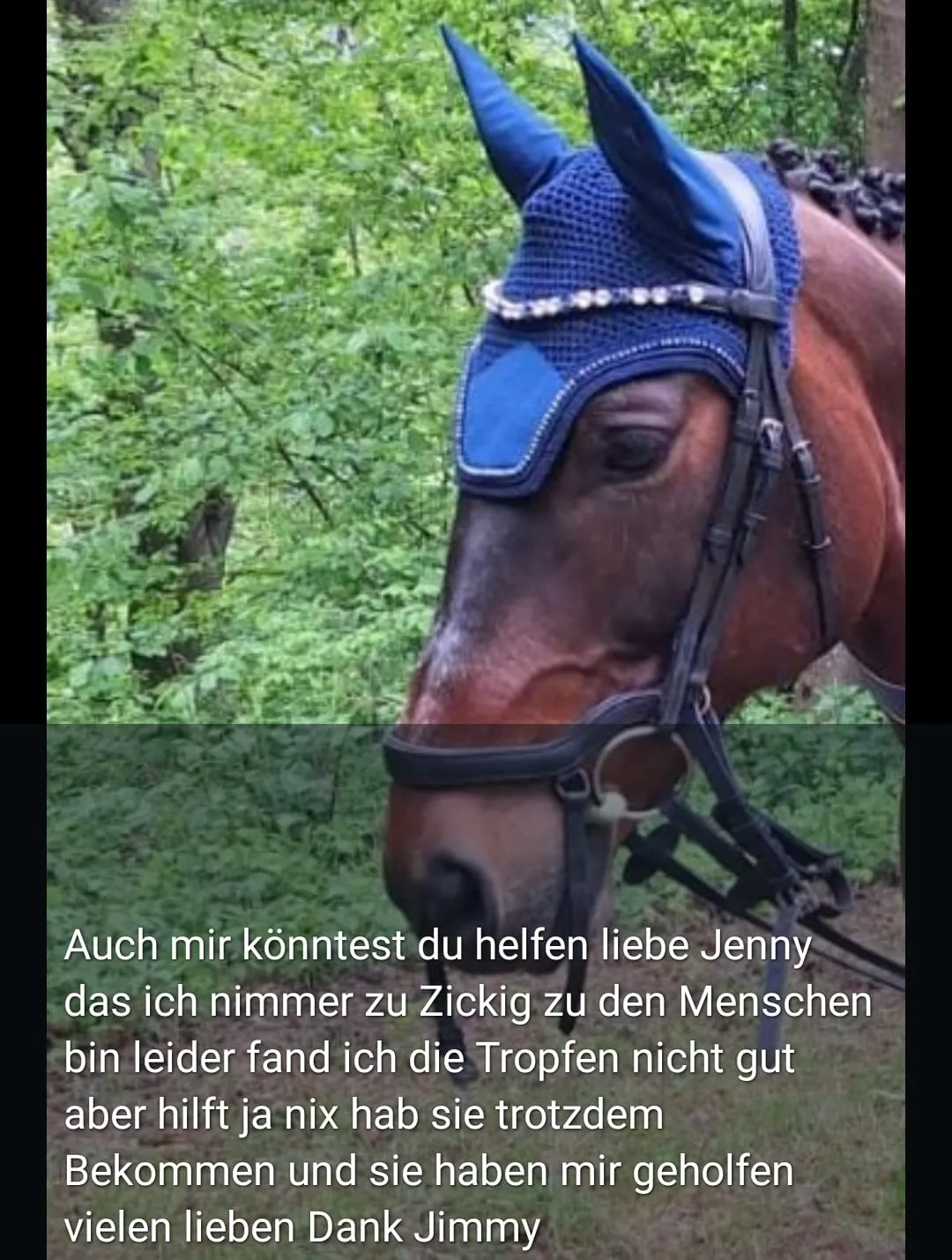 Rezensionen von Jennys-BlütenGleichklang
