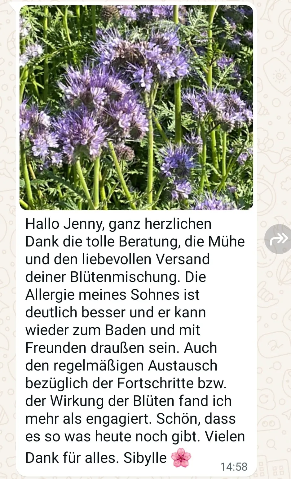 Rezensionen von Jennys-BlütenGleichklang