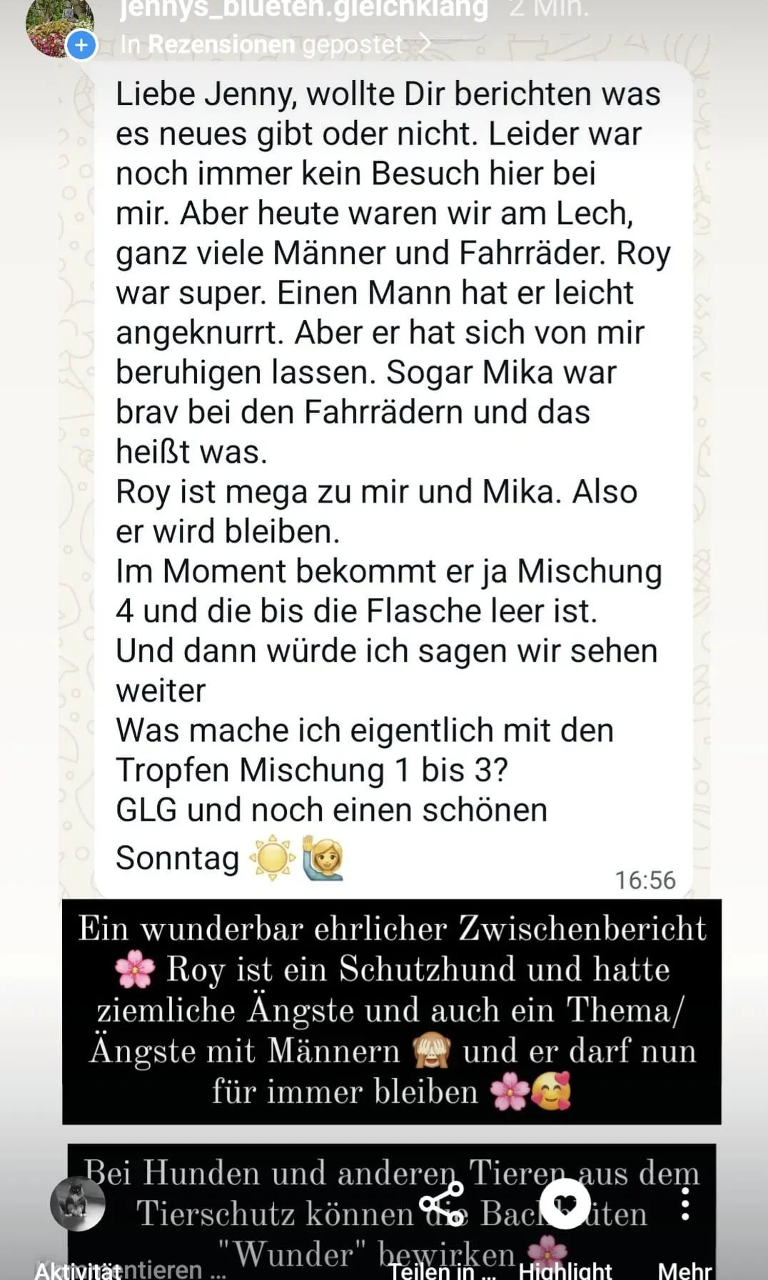Rezensionen von Jennys-BlütenGleichklang