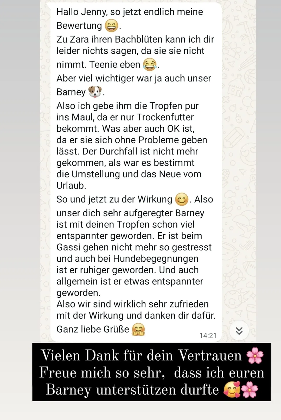 Rezensionen von Jennys-BlütenGleichklang